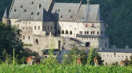 Castle Vianden next to Camping de l'Our Vianden Luxembourg