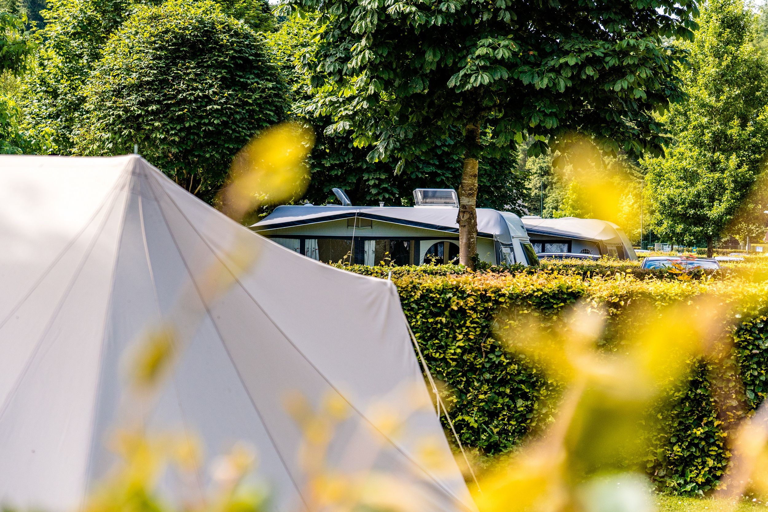 Campsite in natural setting